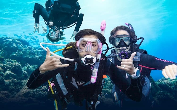 Scuba Diving Tours available on Hero